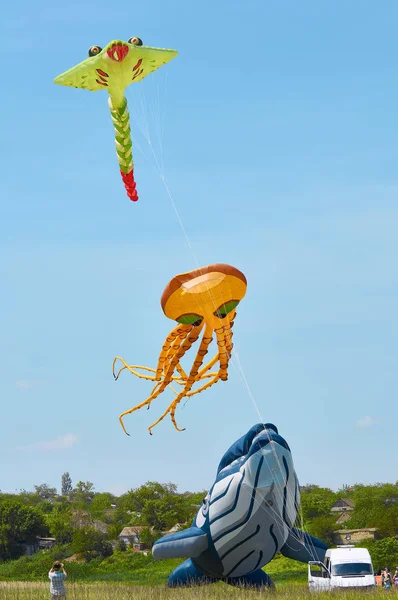 Trykhaty, région de Mykolaiv, Ukraine - 18 mai 2019 : Kitefest, Tryhutty International Kite Festival 2019 dans le village Trykhaty, Ukraine. Kitefest annuel . — Photo