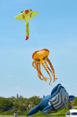 Trykhaty, Mykolaiv bölgesi, Ukrayna - 18 Mayıs 2019: Kitefest, Tryhutty Uluslararası Uçurtma Festivali 2019 Trykhaty, Ukrayna. Yıllık kitefest.