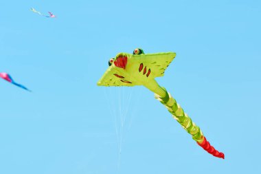 Trykhaty, Mykolaiv bölgesi, Ukrayna - 18 Mayıs 2019: Kitefest, Tryhutty Uluslararası Uçurtma Festivali 2019 Trykhaty, Ukrayna. Yıllık kitefest.
