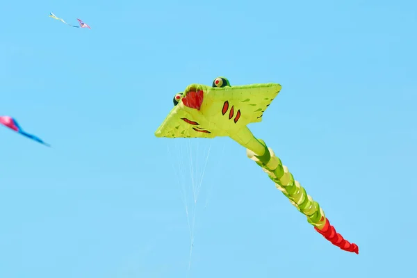 Trykhaty, Mykolaiv region, Ukraina-maj, 18, 2019: Kitefest, Tryhutty International kite Festival 2019 i byn Trykhaty, Ukraina. Årliga Kitefest. — Stockfoto