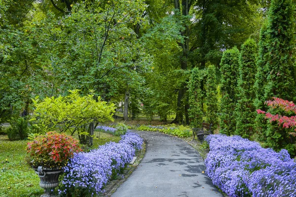 Arreglo floral decorativo de crisantemo lila y otras flores en el jardín de otoño, ramo de otoño. Callejón en el parque de otoño . — Foto de Stock