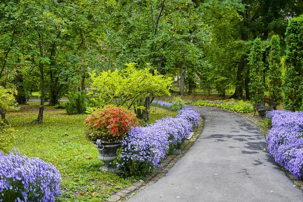 Dekorativní květinové aranžmá šeříkového chryzantému a dalších květin v podzimní zahradě, podzimní kytice. Ulička v podzimním parku. — Stock fotografie