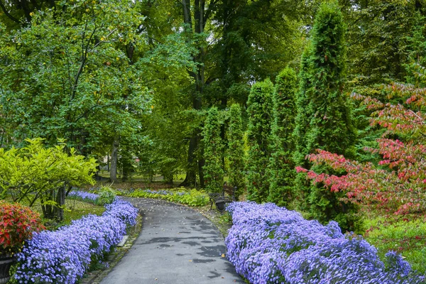 가을 꽃다발 은가을 정원에 있는 라일락 국화와 기타 꽃들로 장식된 꽃꽂이이다. 가을 공원의 골목. — 스톡 사진