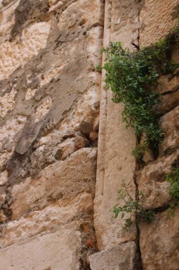 Korcula eski kenti Hırvatistan 'da duvar 2014 yazında