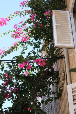 Korcula Hırvatistan 'da şehir manzarası 2014 yazı