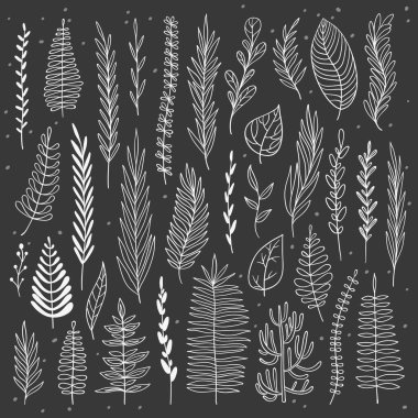 Vektör el çizilmiş botanik elementler ayarlandı. Tek renkli otlar koleksiyonu. Düğün davetiyesi, doğum günü kartı, web sayfası tasarımı için iyi.