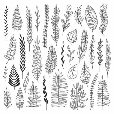 Vektör el çizilmiş botanik elementler ayarlandı. Tek renkli otlar koleksiyonu. Düğün davetiyesi, doğum günü kartı, web sayfası tasarımı için iyi.