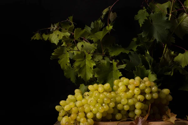 grapes yellow ripe and a glass of wine stand on the table