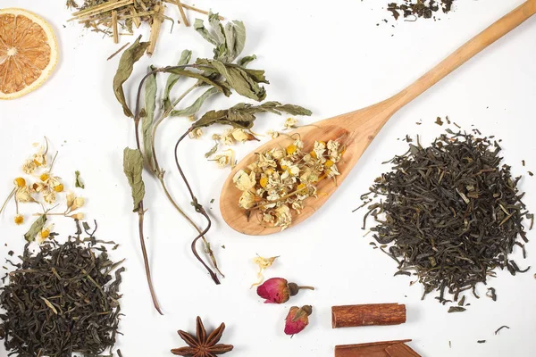dry tea and herbs scattered on a white background