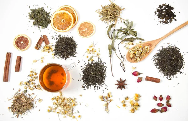 dry tea and herbs scattered on a white background