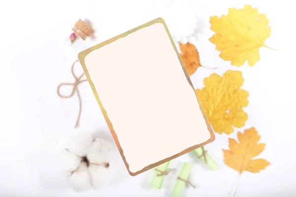 card to write a recipe is on a bright background