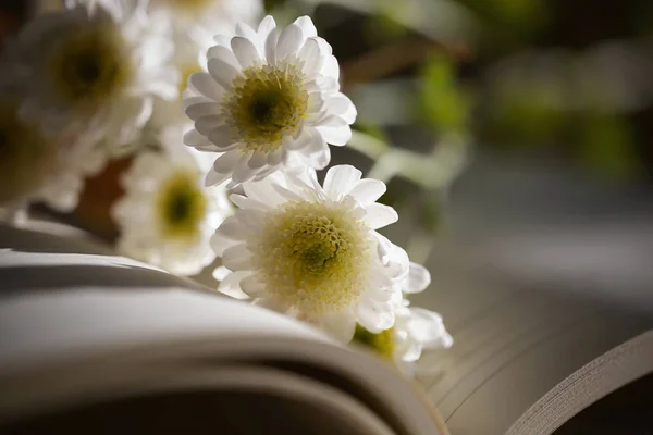 autumn flowers are on the book