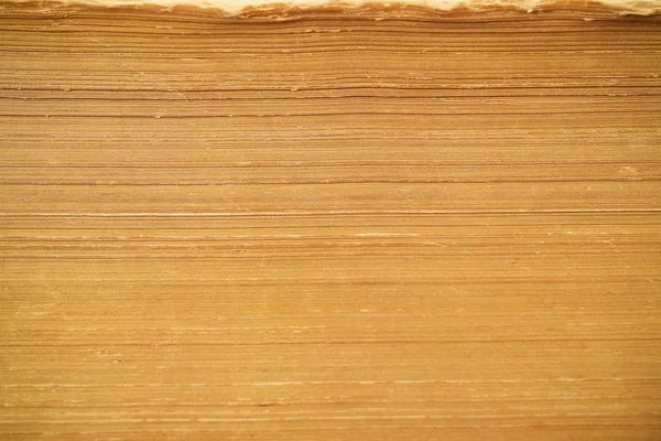 pages of old book background image