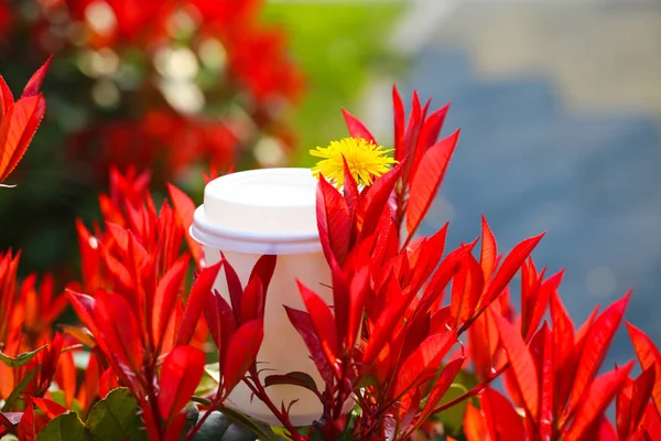 paper Cup with coffee in nature