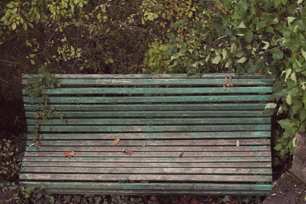 the bench stands empty in the old Park on the nature