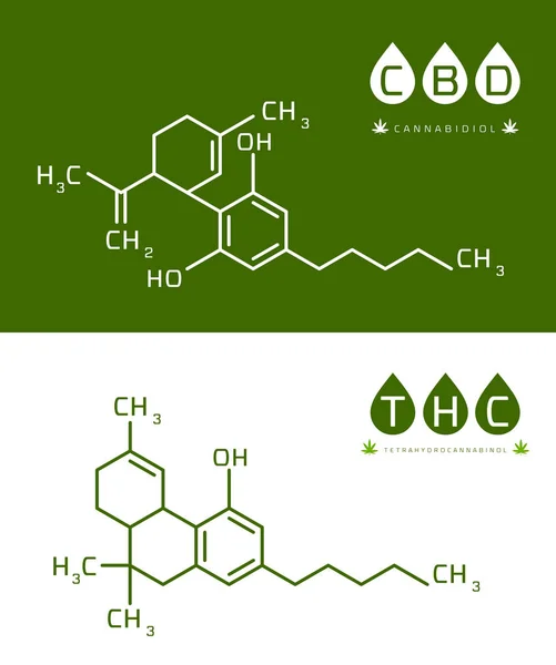Esrar molekül formülü vektör illüstrasyonunun thc ve cbd'si