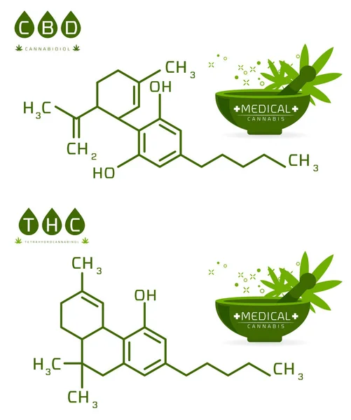 Thc dan cbd dari molekul Cannabis rumus vektor ilustrasi - Stok Vektor