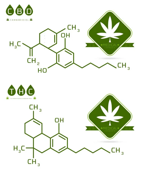 Thc y cbd de la fórmula de la molécula de cannabis vector ilustración — Vector de stock