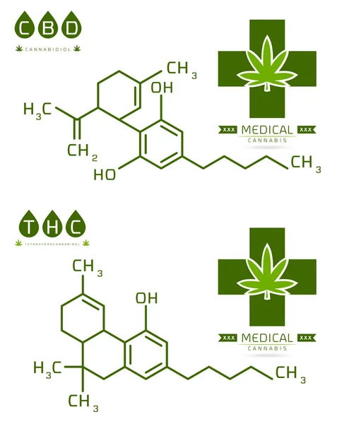 THC i CBD cząsteczki konopi formuła ilustracja wektor — Wektor stockowy