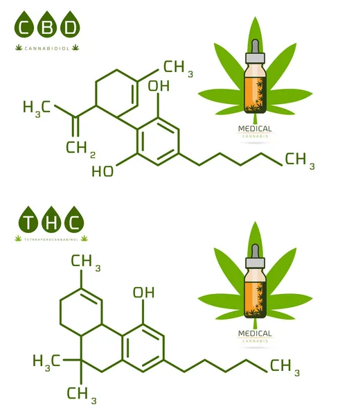 Thc y cbd de la fórmula de la molécula de cannabis vector ilustración — Vector de stock