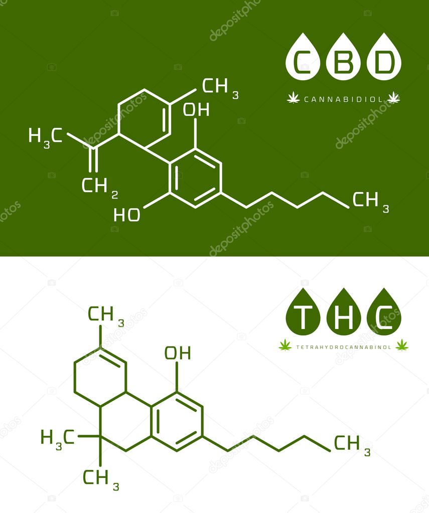 Set of Thc and cbd formula. Cannabidiol and tetrahydrocannabinol molecule structure compound. Medical marijuana molecules vector illustration