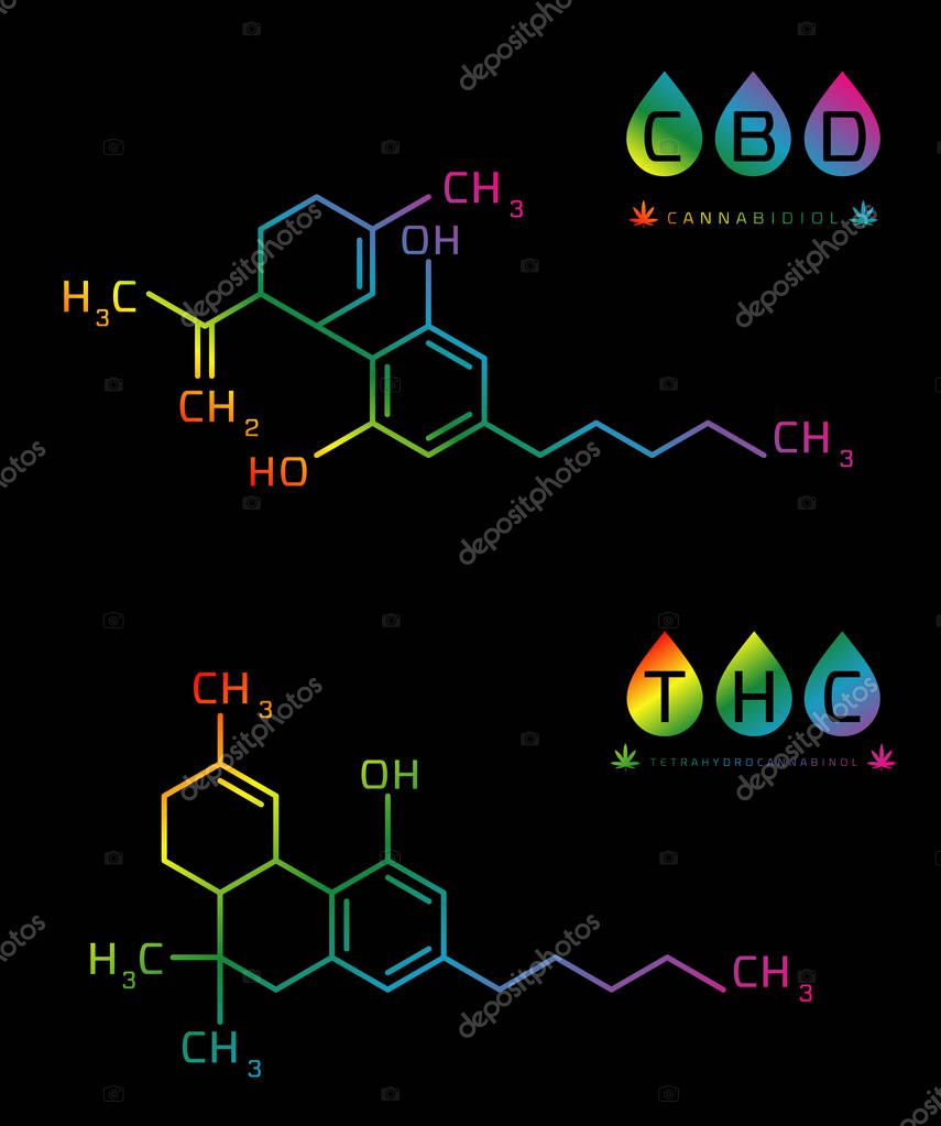 Set of Thc and cbd formula. Cannabidiol and tetrahydrocannabinol molecule structure compound. Medical marijuana molecules vector illustration