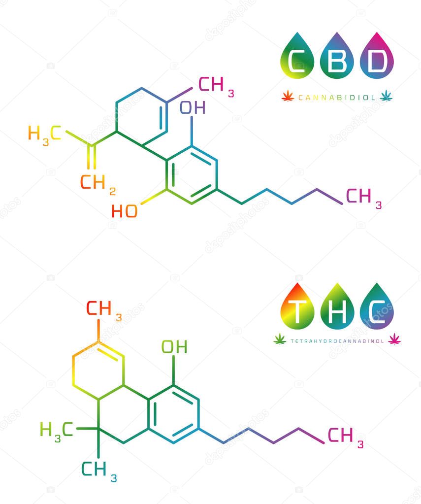 Set of Thc and cbd formula. Cannabidiol and tetrahydrocannabinol molecule structure compound. Medical marijuana molecules vector illustration