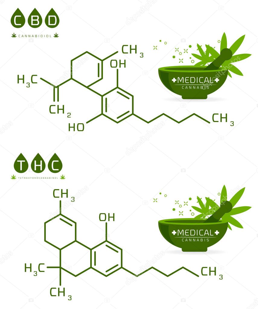 Set of Thc and cbd formula. Cannabidiol and tetrahydrocannabinol molecule structure compound. Medical marijuana molecules vector illustration