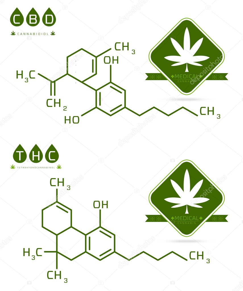 Set of Thc and cbd formula. Cannabidiol and tetrahydrocannabinol molecule structure compound. Medical marijuana molecules vector illustration