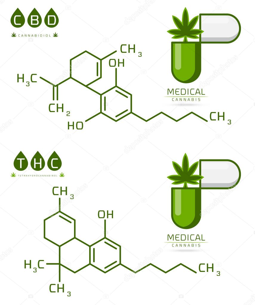 Thc and cbd of Cannabis molecule formula vector illustration