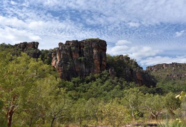 Manzara Kakadu Milli Parkı, Nourlangie. Kakadus popüler Burrungkuy (Nourlangie) bölge, dünya mirası rock resmi olarak renkli birdlife bilinir