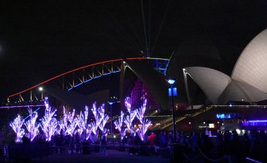 Sydney Australia - 04 Haziran 2018: Nautilus orman berabere hem doğa hem de çıkmaması ağaç ışıklı bir orman oluşturmak için tam geometri. Canlı Sydney ışık ve ses bir kutlama vardır.