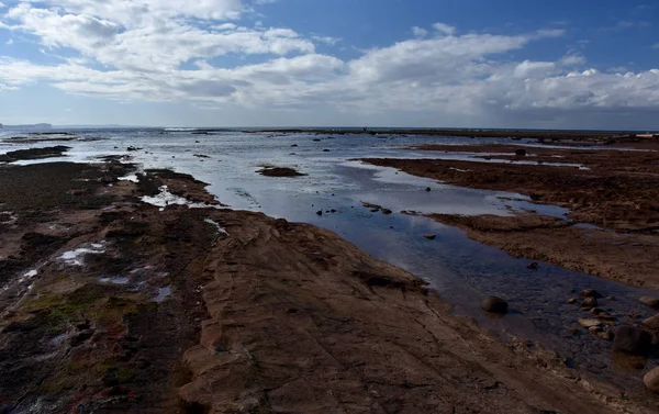 Maré Baixa Long Reef Headland Sydney Austrália — Fotografia de Stock