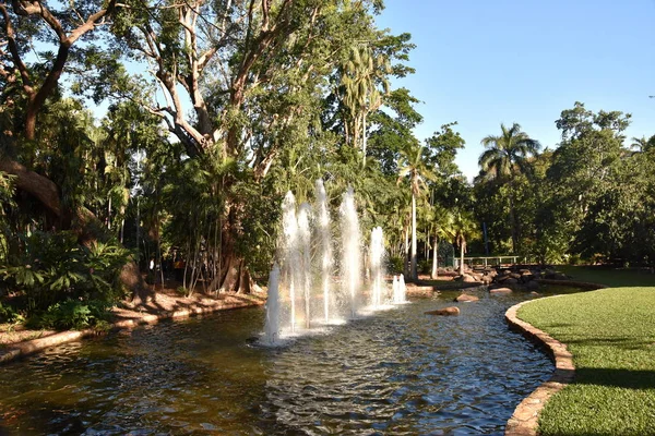 Fontän Trädgården George Brown Botanic Gardens Innehåller Stor Samling Norra — Stockfoto