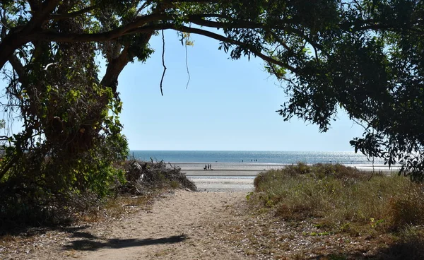 Pantai Lee Point Saat Air Surut Lee Point Pinggiran Utara — Stok Foto