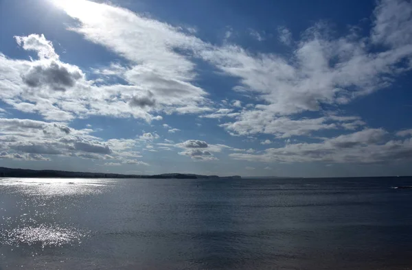 Pemandangan Panorama Pantai Utara Dari Long Reef Headland Sydney Nsw — Stok Foto