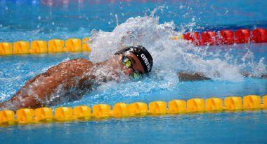 Budapeşte, Macaristan - 25 Temmuz 2017. Rekabetçi yüzücü Paltrinieri 800 m serbest stil yüzme Gregorio (Ita). Fina yüzme Dünya Şampiyonası ön ısıtır Duna Arena.