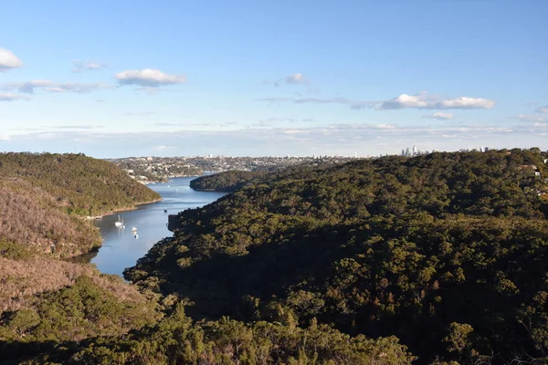 Střední Harbour Pohled Bluff Rozhledna Garigal Národním Parku Sydney Nsw — Stock fotografie