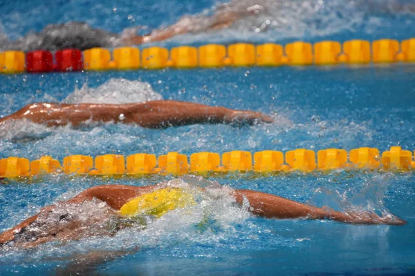 Girls compete in swimming pool. Women swimming freestyle. Swimmer in swimming pool.