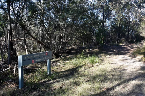 Bushwalking track through native forest in Garigal National Park.