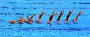 Synchronized Swimmers point up out of the water in action. Synchronized swimmers legs movement. Synchronized swimming team performing a synchronized routine of elaborate moves in the water. clipart