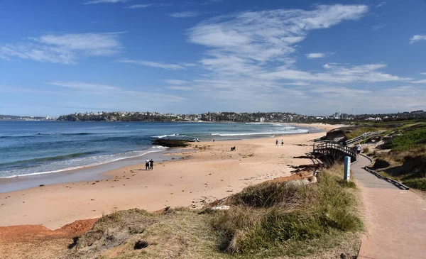 Vista Playa Dee Why Sydney Australia Día Soleado Pero Frío — Foto de Stock