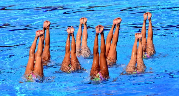シンクロナイズド スイミング選手はアクションで水ポイントします シンクロナイズド スイミング選手の足の動き 水の精巧な動きの同期ルーチンを実行するシンクロナイズド スイミング チーム — ストック写真