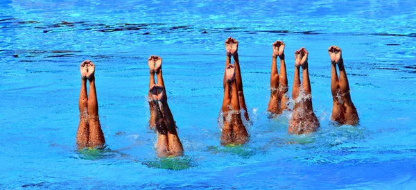Szinkronizált Úszók Pont Vízből Akcióban Szinkronizált Úszók Lábak Mozgása Válogatott — Stock Fotó
