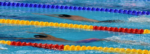 Los Hombres Compiten Piscina Hombres Nadando Bajo Agua Estilo Delfín —  Fotos de Stock