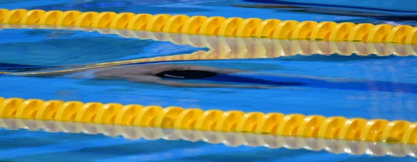 Muži Soutěží Bazénu Muži Plavání Pod Vodou Dolphin Styl Plavec — Stock fotografie