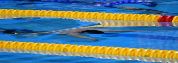 男性は スイミング プールで競い合います イルカ スタイルに水の下で水泳の男性 スイミング プールでの水泳 — ストック写真