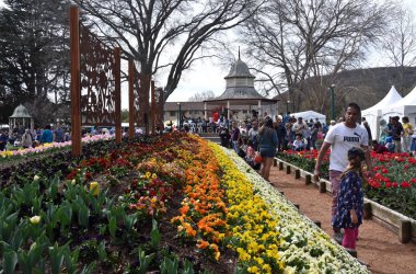 Bowral, Avustralya - 22 Eylül 2018. İnsanlar festivaller Corbett bahçelerde lale zamanı Festivali sırasında bahar kutlama etkinlikleri bölgedeki bir dizi zevk..