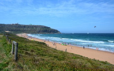 İnsanlar plaj rahatlatıcı. Sydney'nin ikonik Kuzey plajlar Beach palm.