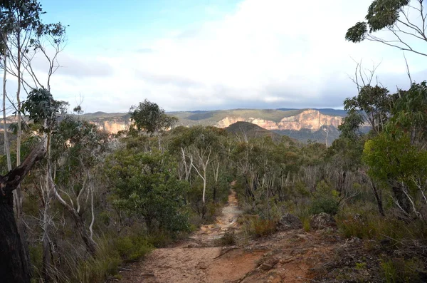 澳大利亚蓝山山上的河岸行走轨迹 — 图库照片